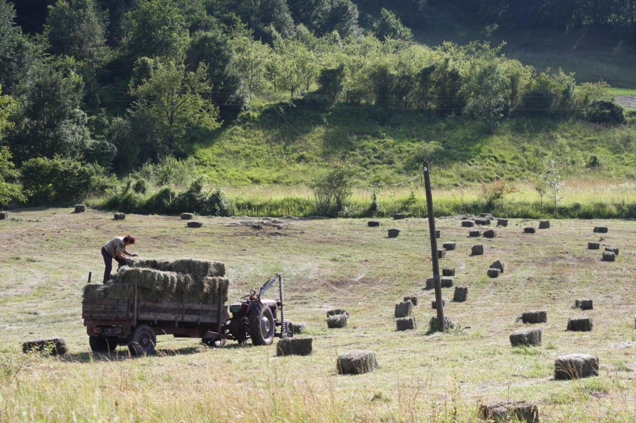 Ethno Village Bogut Bogutovac Bagian luar foto