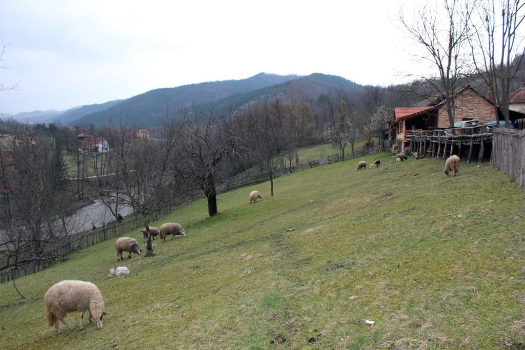 Ethno Village Bogut Bogutovac Bagian luar foto